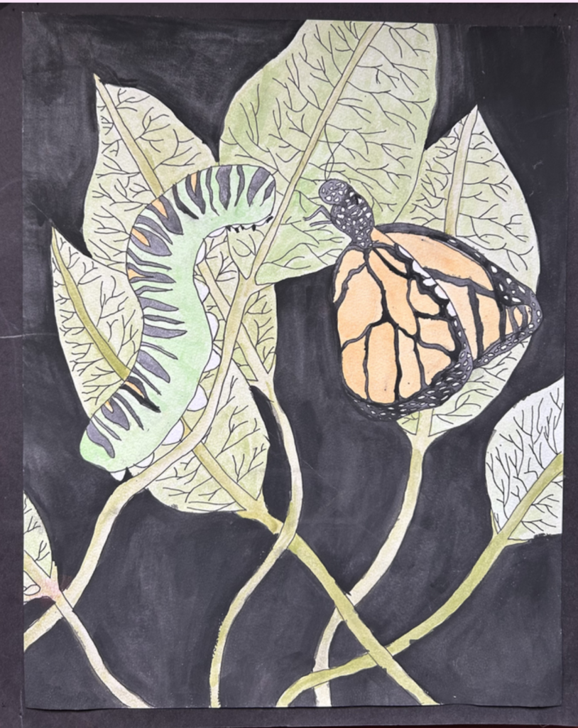 A caterpillar and butterfly on leaves next to each other. 